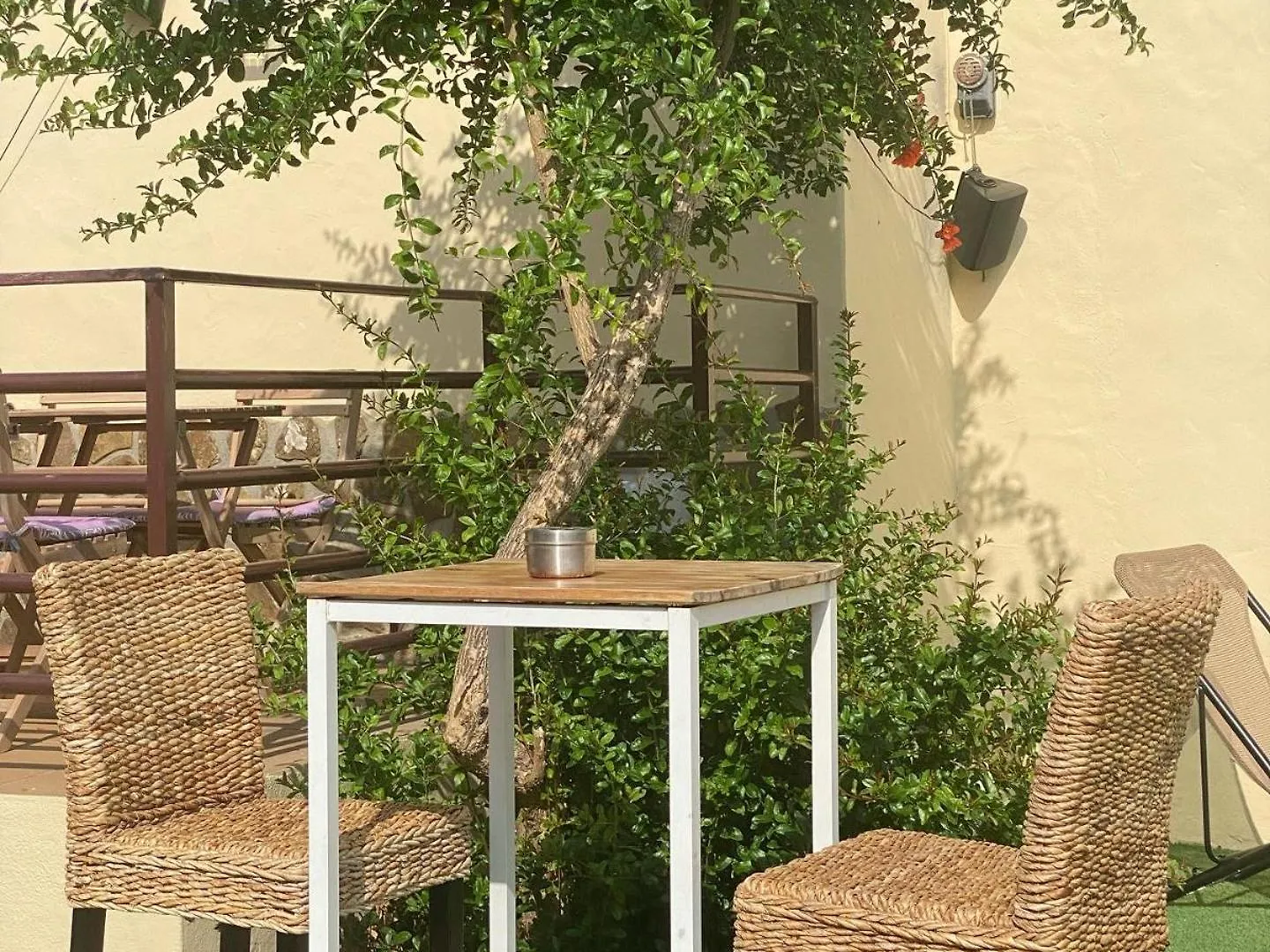 Apartamentos Turisticos Carmencita Bolonia